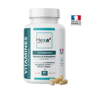 vitamines minéraux énergie tonus gélules hexa3
